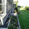 SDC10892.jpg